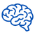 Brain Surgery