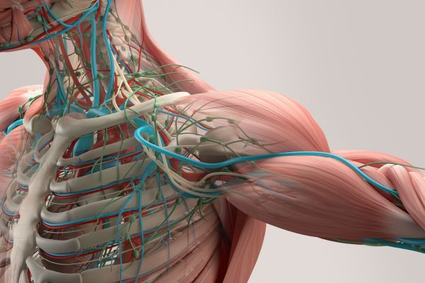 Carotid Stenting