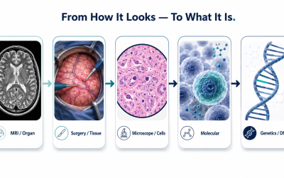 The Molecular Datastream: How Brain Tumor Surgery Is Learning to See Cancer Directly
